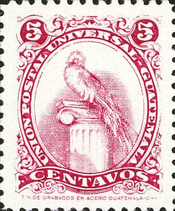 Quetzal (Pharomachrus mocinno)