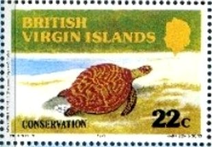 Stamp, Hawksbill Turtle (Eretmochelys imbricata), British Virgin Islands,  , Turtles