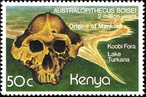 Australopithecus boisei