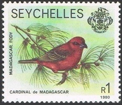 Madagascar Red Cardinal (Foudia madagascariensis)