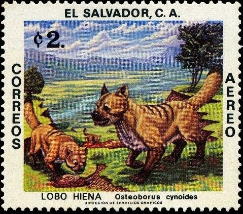 Bone-crushing Dog (Osteoborus cynoides) 
