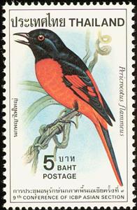 Stamp, Scarlet Minivet (Pericrocotus flammeus), Thailand,  , Birds