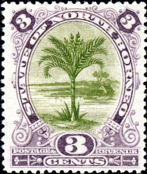 Sago Palm