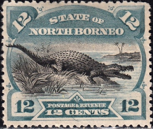 Saltwater Crocodile (Crocodylus porosus)