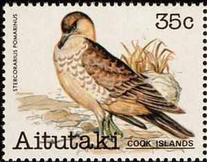 Stamp, Pomarine Skua (Stercorarius pomarinus), Aitutaki,  , Birds