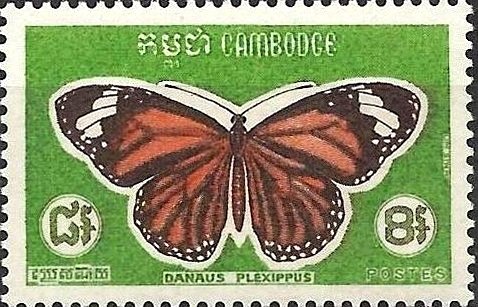 Monarch Butterfly (Danaus plexippus)