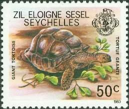 Aldabra Giant Tortoise (Aldabrachelys gigantea)