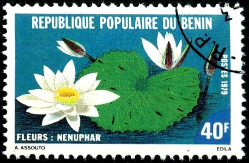 Nenuphar