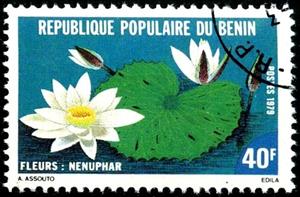 Stamp, Nenuphar, Benin,  , Flowers, Plants (Flora), Aquatic Plants