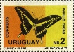 Stamp, King Swallowtail (Papilio thoas), Uruguay,  , Philately, Butterflies
