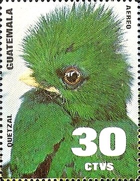 Quetzal (Pharomachrus mocinno)
