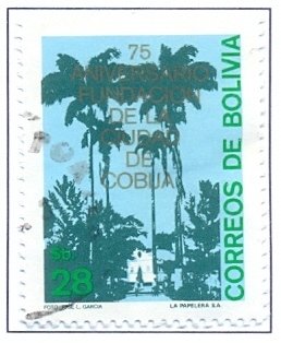 View before Cobija