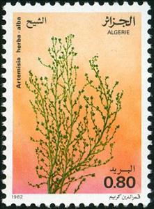 Stamp, Artemisia herba-alba, Algeria,  , Plants (Flora)