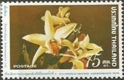 Dendrobium Heterocarpum