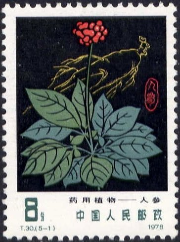 Ginseng (Panax schinseng)