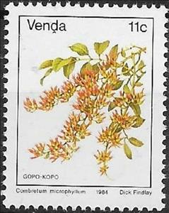 Stamp, Combretum microphyllum, South Africa, Homelands,  , Flowers