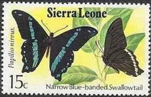 Green-banded Swallowtail (Papilio nireus)