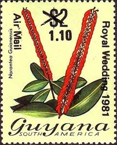 Stamp, Surcharged, Guyana,  , Plants (Flora)