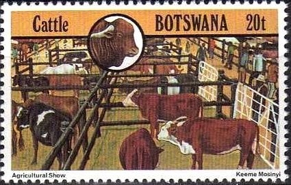 Agricultural show