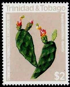 Stamp, Commonwealth Pharmaceutical Conference, Trinidad and Tobago,  , Cacti