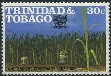 Canefarmers centenary 1882-1982
