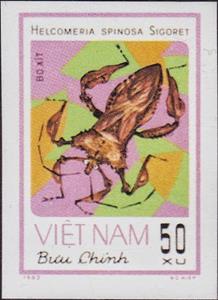 Stamp, Squash Bug (Helcomeria spinosa), Vietnam,  , Insects, Animals (Fauna)