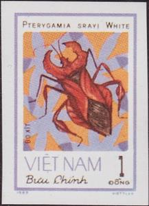 Stamp, Squash Bug (Pterygamia srayi), Vietnam,  , Insects, Animals (Fauna)