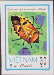 Stamp, Man-faced Stink Bug (Catacanthus incarnatus), Vietnam,  , Insects, Animals (Fauna)