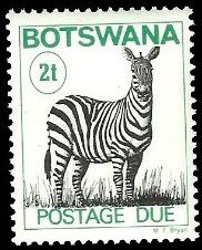 Zebra