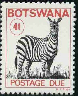 Zebra