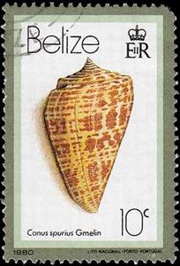 Stamp, West Indian Alphabet Cone (Conus spurius), Belize,  , Shells