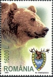 Brown Bear (Ursus arctos)