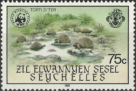 Aldabra Giant Tortoise (Aldabrachelys gigantea)
