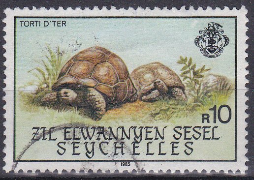 Aldabra Giant Tortoise (Aldabrachelys gigantea)