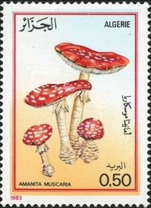 Stamp, Fly agaric (Amanita muscaria), Algeria,  , Mushrooms