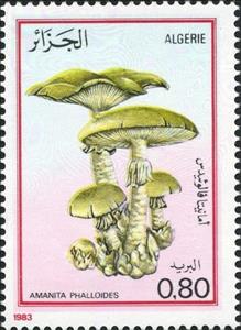 Stamp, Death cap (Amanita phalloides), Algeria,  , Mushrooms