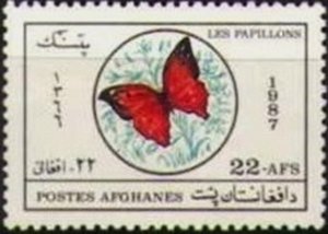 Eggfly (Hypolimnas sp.) 