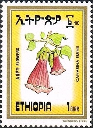 Canarina eminii