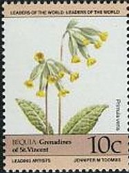 Primula veris