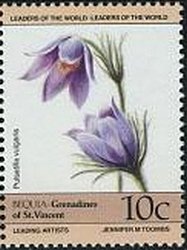 Stamp, Pulsatilla vulgaris, Saint Vincent and The Grenadines,  , Flowers