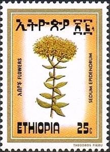Stamp, Sedum epidendrum, Ethiopia,  , Flowers