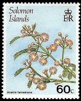 Acacia farnesiana
