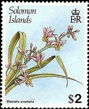 Dianella ensifolia