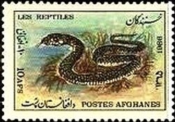 Phyton (Python sp.)