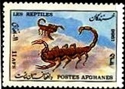 Stamp, Scorpion (Buthus sp.), Afghanistan,  , Scorpions