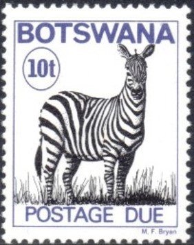 Zebra