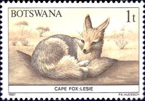 Stamp, Cape Fox (Vulpes chama), Botswana,  , Mammals, Animals (Fauna)