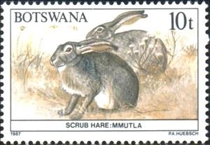 Stamp, Scrub hare, Botswana,  , Hares