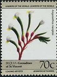 Anigozanthos manglesii