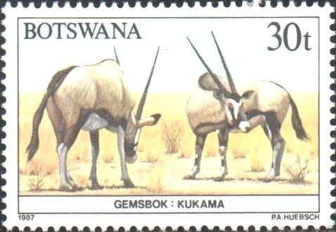Gemsbok